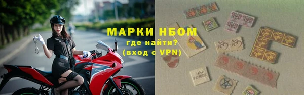 индика Ростов