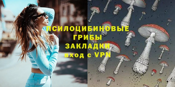 индика Ростов