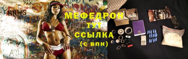 индика Ростов