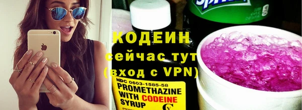 индика Ростов